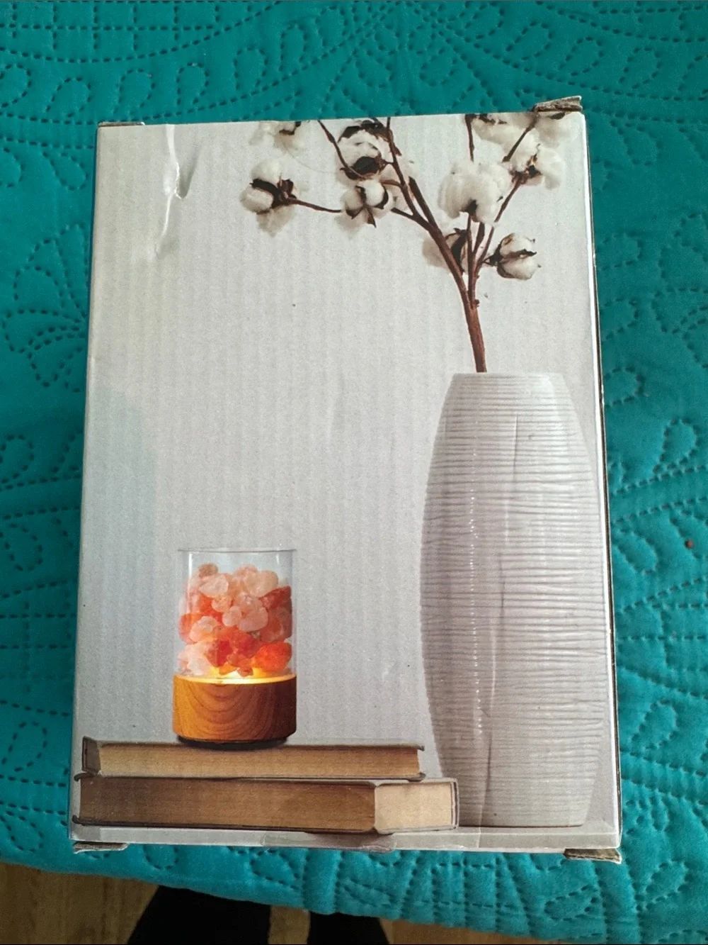 Brookstone Himalayan Salt LED Lamp in Pink and Orange